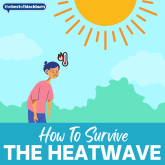 How to survive THE HEATWAVE!
