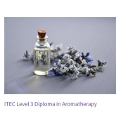 Are you interested in training to become ITEC qualified Therapists in Aromatherapy, Massage, Indian Head Massage, Reiki and Reflexology? 