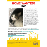 Meet PIXIE looking for a home - #Epsom & Ewell Cats Protection @Epsom_CP #giveacatahome