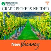 Grape Pickers Required - Outdoor Jobs in East Sussex!