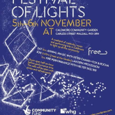 Illuminations Light Up a Community Garden in Caldmore for the November Festival of Lights