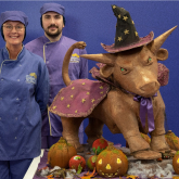 Cadbury World unveils iconic chocolate bull’s bewitching makeover for Halloween   