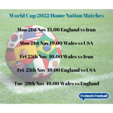 World Cup 2022 Home Nation Matches