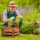 July In The Garden: Embrace the Garden Jobs in Hertford and Ware!