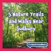 Suffolk's Hidden Gems: Nature Trails and Walks Near Sudbury