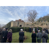 King’s tree planted in the grounds of Hertford Castle to mark Coronation
