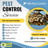 Wasp Nest Removal in Walsall