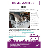 Meet MOGS looking for a home - #Epsom & Ewell Cats Protection @CatsProtection #giveacatahome