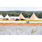 Shropshire Petal Fields this August