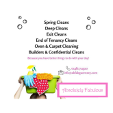 Absolutely Fabulous Cleaning Services