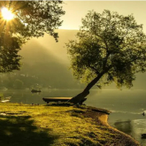 Live an eco-friendly life: Save money and enhance your wellbeing