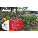 Sudbury in Bloom Faces Uncertain Future Following Roundabout Sign Removal