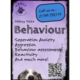 Helping Dogs Feel Better: Abbey Vets Now Offers Behavioural Assessments