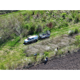 Shrewsbury Volunteers Support Tree Care at Monkmoor Meadows