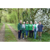 Carpet of bluebells awaits in ‘As You Like It’ Wood for charity walk