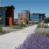 Wolverhampton Green Innovation Corridor opportunities on show at UKREiiF  