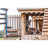 Park Hall Announces Summer Events