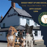 Paws & Pints: Doggy Meet-Up at The Allerford Inn – 20th August