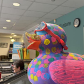 Council supports totally quackers duck trail in Walsall