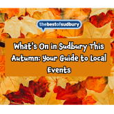 What’s On in Sudbury This Autumn: Your Guide to Local Events