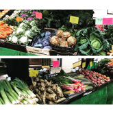 Ray’s Veg: Fresh, Organic, and Straight from the Soil