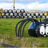 Thousands of Pumpkins Head to Park Hall