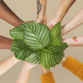 Sustainable Web Design: Designing for a Greener Internet