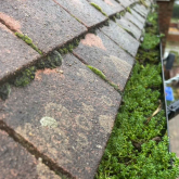 Why Roof Cleaning in Eastbourne Matters Before Winter Hits