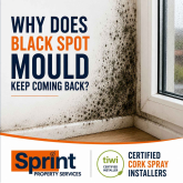 Why Does Black Spot Mould Keep Coming Back?