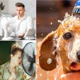 How to Stay Safe During a Heatwave in Eastbourne