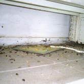 City business ordered to pay more than £8,000 for breaching food hygiene regulations