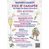 Magic Returns to The Dingle for an Enchanting Evening Supporting the Mayor's Charities