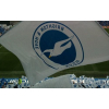 Brighton & Hove Albion: Oh Pole-ease