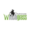 Witchgrass – a perfect lawn all year around