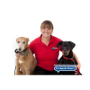  Woof Woof! Dog Walking Services with Bark-n-Ride, Bury