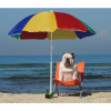 Twelve top tips for keeping your pets safe in the sunshine!