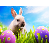Easter Events in Cardiff