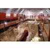 Top things to do, places to go in and around Welwyn and Hatfield 3: Welwyn Roman Baths