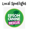 Local Community Spotlight - Epsom Canine Rescue @epsomcanine