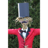 Lapworth Scarecrow Festival Weekend 2015