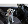 Dog friendly car ratings from McCarthy Cars!