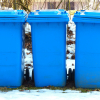 Christmas and New Year Bin Collection Dates in Waverley