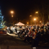 Over 350 Attend Peace Hospice Care's Lights of Love Ceremony