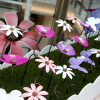 Pretty Poppy, Butterfly and Daisy display unveiled at intu Watford