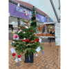 THE GRACECHURCH CENTRE TEAMS UP WITH WHAT’S ON SUTTON COLDFIELD TO FIND ‘SUTTON’S STAR’