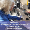 Update on Acute Myeloid Leukaemia Research Funded by the Sussex Cancer Fund