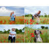 Pre-book your poppies photoshoot for 2024