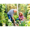 September in the Garden - Essential Tasks for Flowers and Vegetables