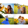 Capturing Sunflower Magic: Photoshoots with Marie-Louise Tibbles Photography