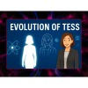 Why Naming Your AI Changes Everything: The Story of Tess